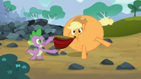 Spike and inflated Applejack S03E09