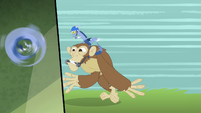 Discord riding on a monkey S4E11