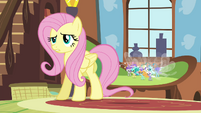 Fluttershy confused by Seabreeze's -pep talk- S4E16