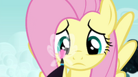 Fluttershy realizing her mistake S4E16