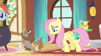 Fluttershy take a break S3E13