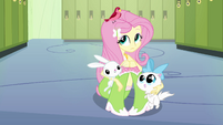 Fluttershy with animal friends 2 EG