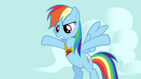 Rainbow Dash giving her opinion on the matter S3E10