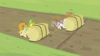 Rarity and Sweetie Belle pushing hay bale S2E05