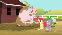 Spike and Apple Bloom washing pig S03E09