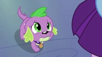 Spike, why you so sad?