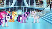 Twilight talking to the librarian S3E01