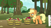 Applejack gathering apples in baskets S7E11