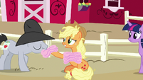 Applejack giving a blanket to Lucky Clover S7E14