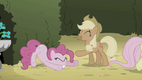 Pinkie falls onto the ground, while Applejack laughs at her.