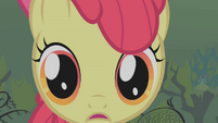 Close up of Apple Bloom S1E09
