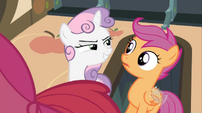 Just what are you planning, Sweetie Belle?