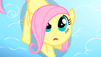 Filly Fluttershy looking up S1E23