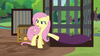 Fluttershy "the opposite of a nice hug!" S7E5