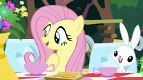 Fluttershy and Angel at the tea party table S8E18