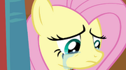 Fluttershy crying S4E16