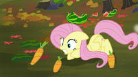 Fluttershy nearly hit by flying carrots S5E23
