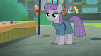 Maud Pie nearly at the sidewalk S6E3