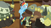 More yaks shush Rainbow Dash S8E18