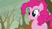 Pinkie -Which one-- S5E5