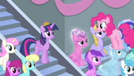 Pinkie Pie standing on Crystal Pony's head S4E24