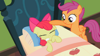 Scootaloo stay still Apple Bloom S2E12