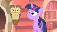 Twilight staring intently at Owlowiscious S1E24