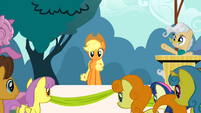 ... about Applejack.