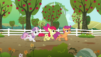 Cutie Mark Crusaders looking for Gabby S6E19