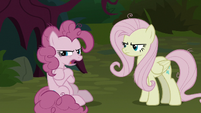 Fake Pinkie Pie "this is the worst day ever!" S8E13