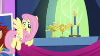 Fluttershy asks Rainbow about her trophies S5E3