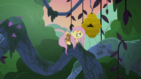 Fluttershy slides up to the flash beehive S7E20