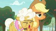 Goldie Delicious laughs at Applejack S9E10