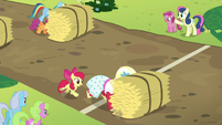 Orchard Blossom pushes hay bale over the line S5E17