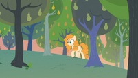 Pear Butter discovers field with no weeds S7E13