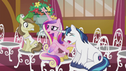 Princess Cadance "he always cries at weddings" S5E9