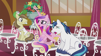 Princess Cadance "he always cries at weddings" S5E9