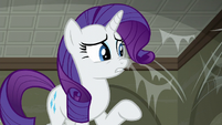 Rarity mentions "strong-smelling raccoons" S6E9