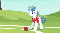 Softball rolling at Shooting Star's hooves S6E18