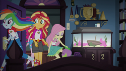 Rainbow dash everfree hot sale