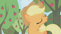 Applejack -no way, no how!- S1E04