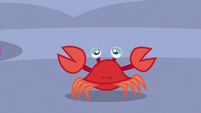 Crab looking sad S6E22