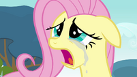 Crying Fluttershy S2E22