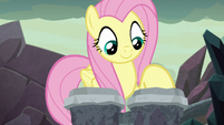 Fluttershy starts playing the bongos S9E9