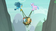 Gallus y Silverstream atrapan a sus maestras.png