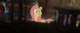 Klugetown birds squawking at Fluttershy MLPTM