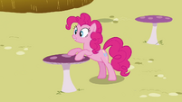 Pinkie Pie putting her hooves on the table S3E03