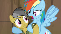 Rainbow Dash 'you can flap too, ya know' S4E04