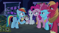 Rainbow Dash --what's happening--- S6E15