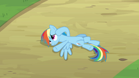 Rainbow Dash Pondering 3 S2E16